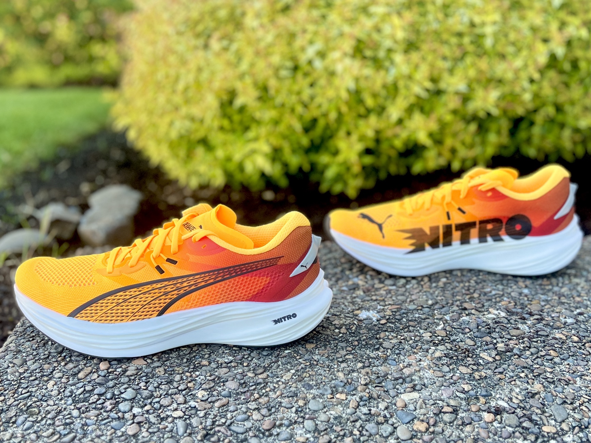 Good Things Come in Threes: The Puma Deviate NITRO 3 - Run Oregon